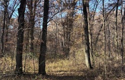 51500 River Road, Milan, MO 63556