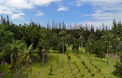29-3707 KANNA ROAD, Hakalau, HI 96710