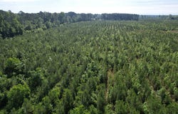 20Ac-TBD Highway 260, Manning, SC 29102