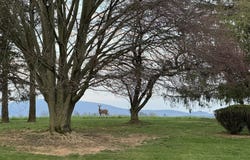 351 PHEASANT RIDGE Road, Lewisburg, PA 17837