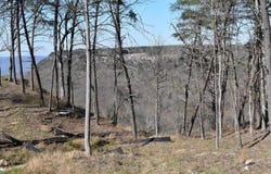 0 Pine Knot Pass, Jasper, TN 37347