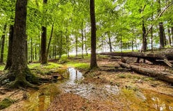 496 County Road 496, Lexington, AL 35648