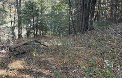 10310 Ivy Ridge Road, Bent Mountain, VA 24059