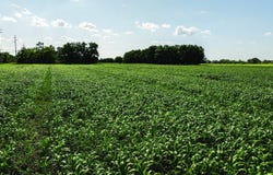 TBD Crestwood St, North Enid, OK 73701