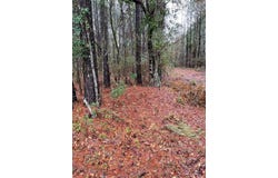 00 Archer Avenue, Manning, SC 29102