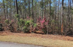 L28 B 3 Bereau Dr Drive, McCormick, SC 29835