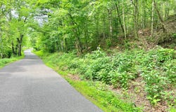 0 Manilla Ridge Rd., Leon, WV 25123