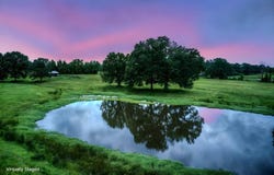 470 County Road 4930, Quitman, TX 75783