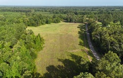 TBD Hillman Rd., Grayson, LA 71435