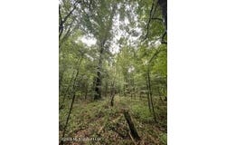 Lowenkamp Lane, Hazlehurst, MS 39083