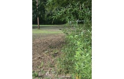 W Hwy 49, Daingerfield, TX 75638