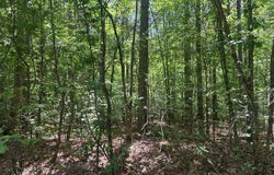 Havens Road, GRENADA, MS 38901