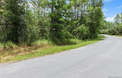 3946 N Longvalley Road, Hernando, FL 34442