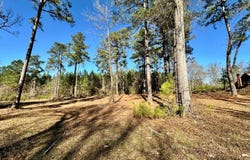 0 Rabbit Run Road, Many, LA 71449
