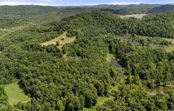 9999 Terrell Hollow Road, Rockholds, KY 40759