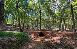 496 County Road 496, Lexington, AL 35648