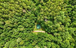 2 Dog Hollow Road, Reliance, TN 37369