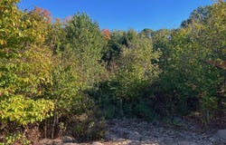 8762 Hemlock Hill Drive, Traverse City, MI 49685