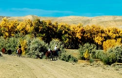 7700 Labarre Rd, Fort Benton, MT 59442