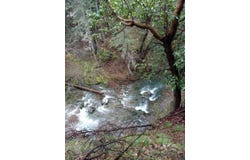 1500&1551 Reading Creek Rd., Douglas City, CA 96024