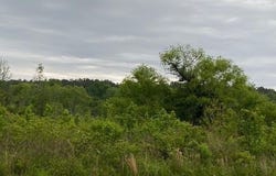 Tbd Hwy 31, Chandler, TX 75758