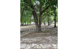 813 Bentwood Circle, Manning, SC 29102