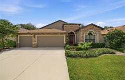 12725 FLATWOOD CREEK Drive, GIBSONTON, FL 33534