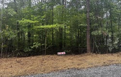 Green Pine Road lot: 46, Cedar Grove, NC 27231