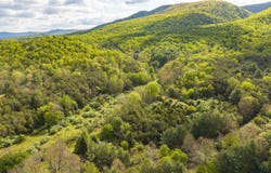 161 GLOVER RUN, GOSHEN, VA 24439