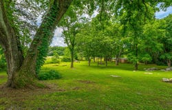 101 West Lane, Rising Fawn, GA 30738