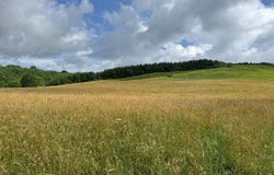 Tbd Troutdale Hwy., Mouth of Wilson, VA 24363