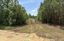 02 Pine Hill Church Road, Waynesboro, GA 30830