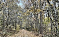 38335 COLLINS ROAD, AVENUE, MD 20609