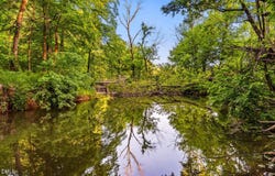 8262 Nc-87, Snow Camp, NC 27349