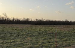 Tract 3 Dade 142, South Greenfield, MO 65752