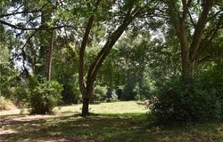 4395 HIGHWAY 3278 Highway, Natchitoches, LA 71457