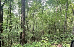 (0) Sheep Cliff Way, Sky Valley, GA 30537