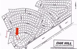 2223 CR 243F, WILDWOOD, FL 34785