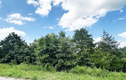 000 Shady Oaks Shore, Forsyth, MO 65653