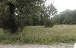 Tracts 1,2,3,4 Sherwood Hills Drive, Mountain Home, AR 72653