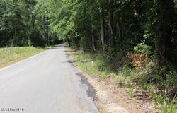 00 Pinola Braxton Road, Braxton, MS 39044
