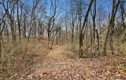 Bethany Church Road, Boonville, IN 47601