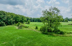 1645 Dye Creek Court, Zionsville, IN 46077