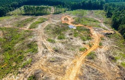 48.5 Acres Bufkin Rd., Walnut Grove, MS 39189