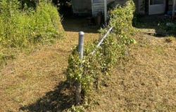 1386 State Highway 1092, Flat Gap, KY 41219