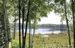 7734 Penglase Lake-Moose, Republic, MI 49879