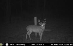 3032 Osyka Progress Road, Osyka, MS 39657