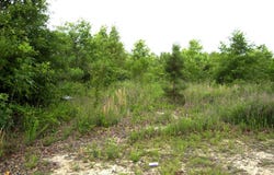 118 LR 27, Ashdown, AR 71822