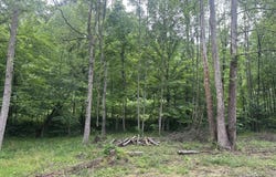 71210 Cox Rd, Wilkesville, OH 45695