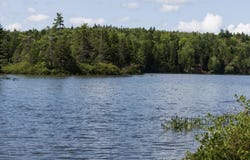 Goulding Lake Road lot: 6, Robbinston, ME 04671